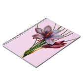 植物学: サフラン ノートブック (左側)