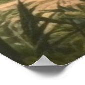 植物学:川の近くのジャングルで水仙 ポスター (角)