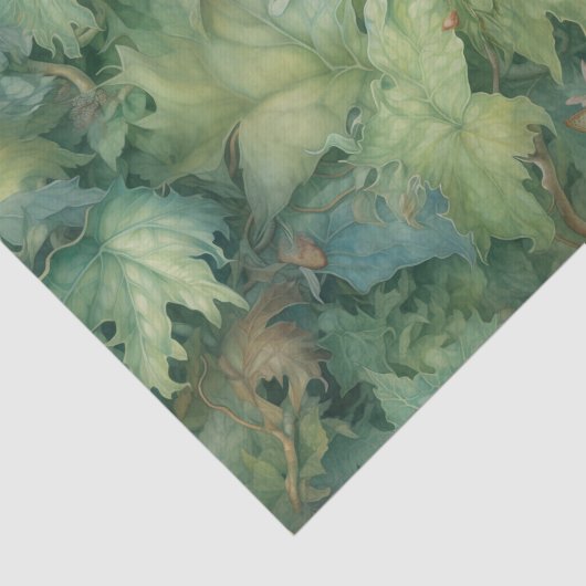 植物学 薄葉紙 (詳細)