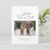 植物平和素朴対地球スクリプト写真 シーズンカード (スタンド正面)