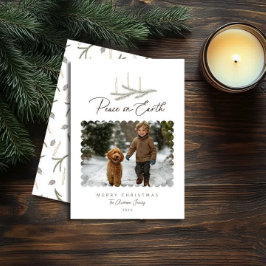 植物平和素朴対地球スクリプト写真 シーズンカード