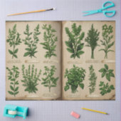 植物性の植物性の植物性の植物性の分身ヴィンテージシダ 薄葉紙 (クラフト)