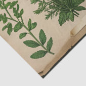 植物性の植物性の植物性の植物性の分身ヴィンテージシダ 薄葉紙 (詳細)