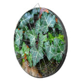 植物性の緑色のツタと野石 ダーツボード (正面右)