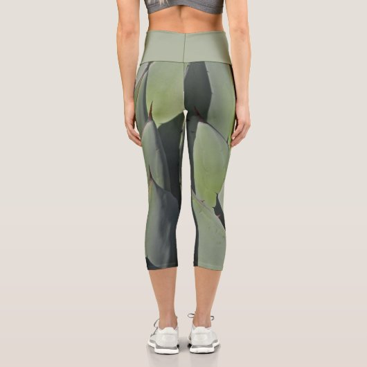 植物性アガベ葉写真砂漠の植物 カプリレギンス (裏面)