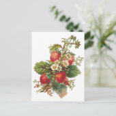 植物性イチゴ ポストカード (スタンド正面)