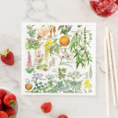 植物性イラストレーション (インサイチュ)