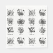 植物性イラストレーション スタンダードランチョンナプキン (正面)