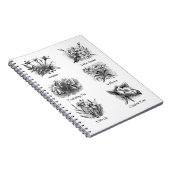 植物性イラストレーション ノートブック (右側)