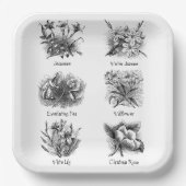 植物性イラストレーション ペーパープレート (正面)