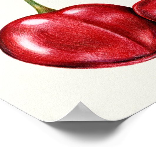 植物性イラストレーション ポスター (角)