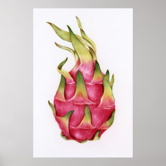 植物性イラストレーション ポスター (正面)