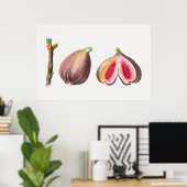 植物性イラストレーション ポスター (ホームオフィス)