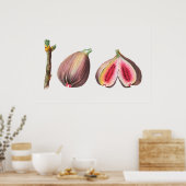 植物性イラストレーション ポスター (キッチン)