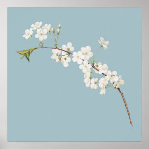 植物性イラストレーション ポスター