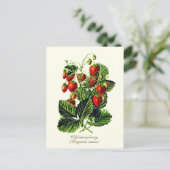 植物性エレガントヴィンテージ野生イチゴ果実 ポストカード (スタンド正面)