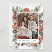 植物性エレガント柑橘系写真 シーズンカード (正面)