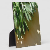 植物性エレガント緑色の草離れ草のセージ フォトプラーク (側面)