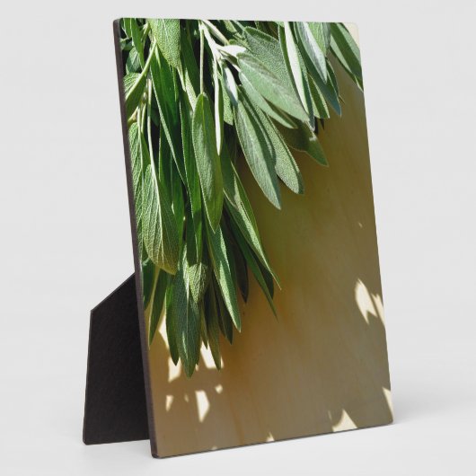 植物性エレガント緑色の草離れ草のセージ フォトプラーク (側面)