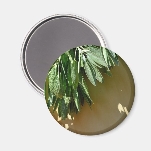 植物性エレガント緑色の草離れ草のセージ マグネット (正面/裏面)