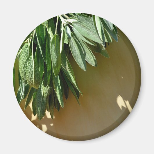 植物性エレガント緑色の草離れ草のセージ マグネット (正面)