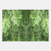 植物性ギフトラッピング紙シート ラッピングペーパーシート (正面2)