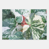 植物性ギフトラッピング紙シート ラッピングペーパーシート (正面)