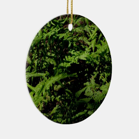 植物性グリーンフォレストフロアーシダ セラミックオーナメント (右)