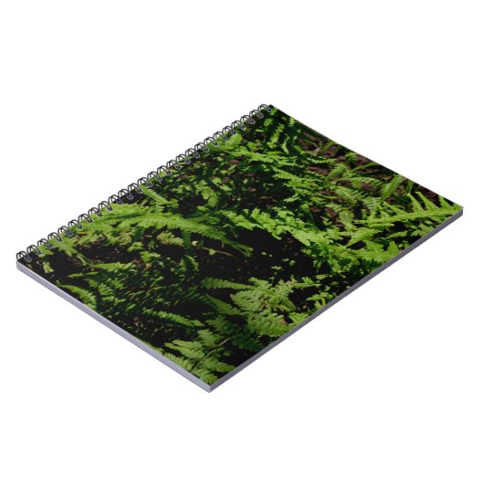 植物性グリーンフォレストフロアーシダ ノートブック (左側)