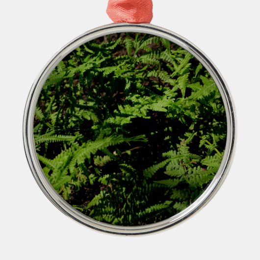 植物性グリーンフォレストフロアーシダ メタルオーナメント (正面)