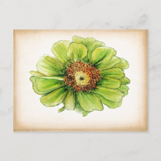 植物性スケッチはがき ポストカード (正面)