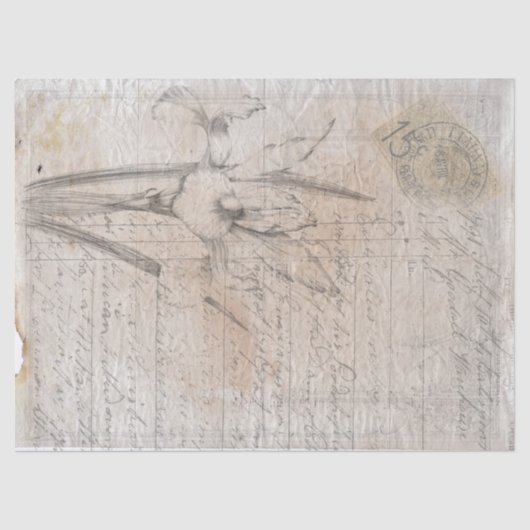 植物性スケッチアンティーク書のデカップ紙。 薄葉紙 (正面)