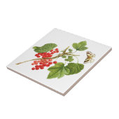 植物性セラミックタイル タイル (側面)