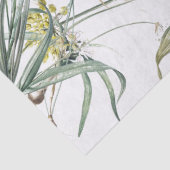 植物性ニンニク球植物アリウムティッシュペーパー 薄葉紙 (詳細)