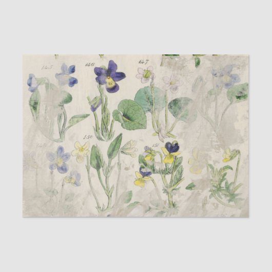 植物性バイオレットプレス花ヴィンテージティッシュパ 薄葉紙 (正面)