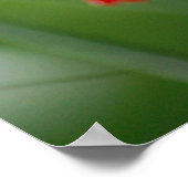 植物性バタフライ ポスター (角)