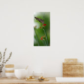 植物性バタフライ ポスター (キッチン)