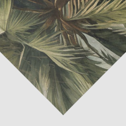 植物性パームツリーウォーターカラーエフエメラデクページ 薄葉紙 (詳細)