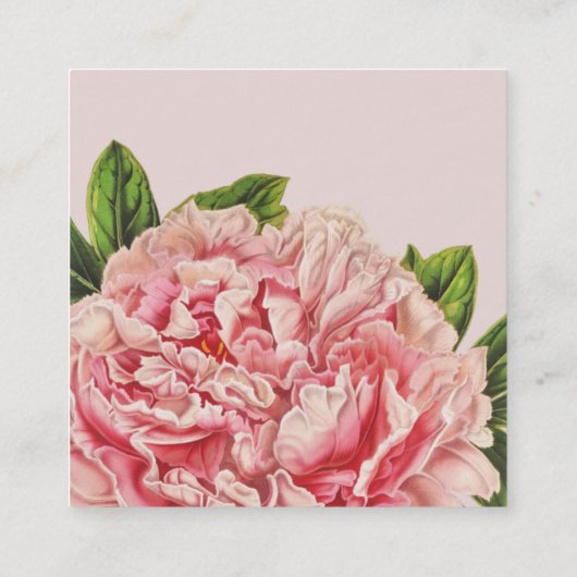植物性ピンク牡丹の花スタイリッシュヴィンテージフローラ スクエア名刺 (裏面)
