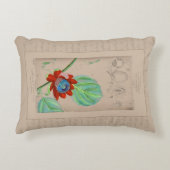 植物性フランスのイラストレーションパシオンフラワー アクセントクッション (正面)