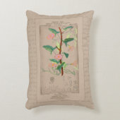 植物性フランスのイラストレーションビンズウィード アクセントクッション (正面(垂直))