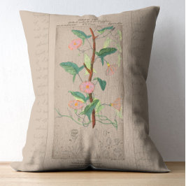 植物性フランスのイラストレーションビンズウィード アクセントクッション