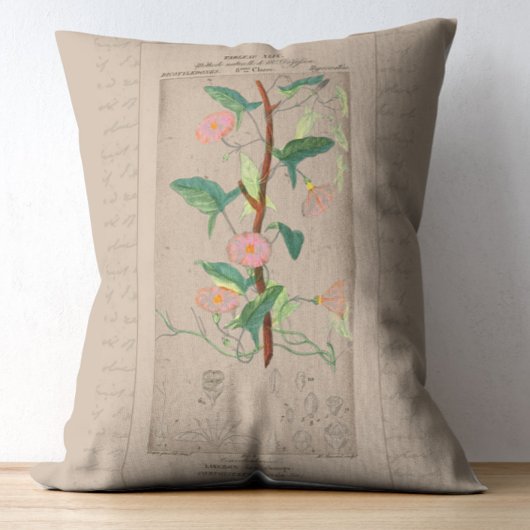 植物性フランスのイラストレーションビンズウィード アクセントクッション