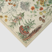 植物性フランスの一年生花ティッシュペーパー 薄葉紙 (詳細)