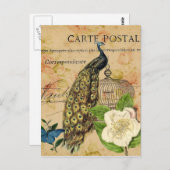 植物性フランスの椿カバノキヴィンテージ孔雀 ポストカード (正面/裏面)