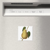 植物性フルーツ梨 マグネット (インサイチュ (食洗機))