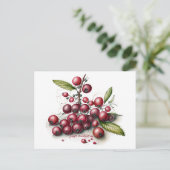植物性フレッシュクランベリー ポストカード (スタンド正面)
