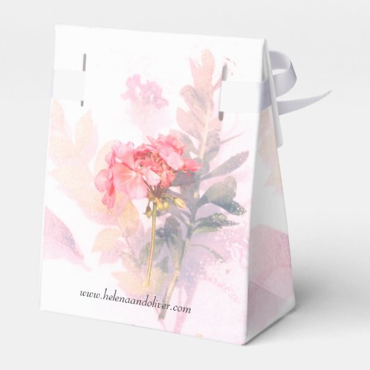 植物性フローラ結婚ズ | フェイバーボックス (裏面サイド)