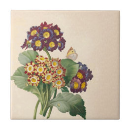 植物性プリムローズ タイル