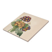 植物性プリムローズ タイル (側面)